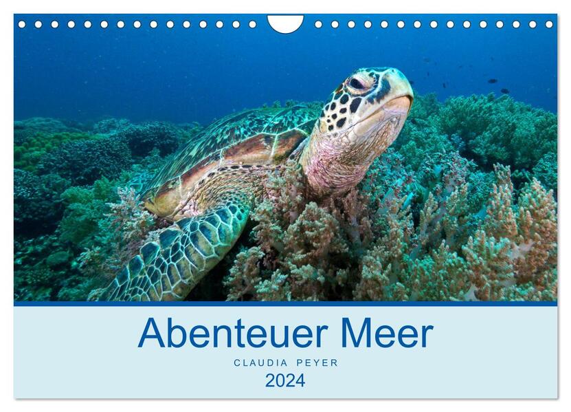 Abenteuer Unterwasser (Wandkalender 2024 DIN A4 quer) CALVENDO Monatskalender