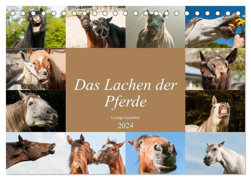 Das Lachen der Pferde - Lustige Gesichter (Tischkalender 2024 DIN A5 quer) CALVENDO Monatskalender