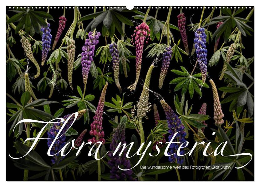 Flora mysteria - Die wundersame Welt des Fotografen Olaf Bruhn (Wandkalender 2024 DIN A2 quer) CALVENDO Monatskalender