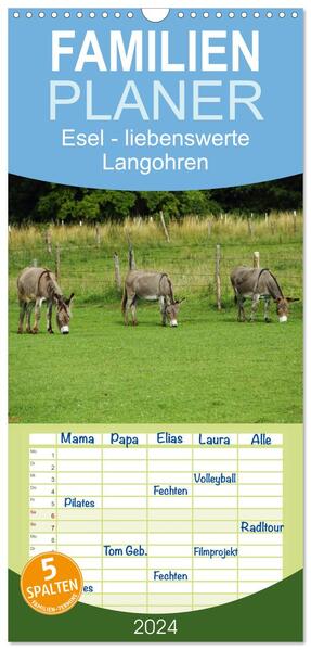 Familienplaner 2024 - Esel - liebenswerte Langohren mit 5 Spalten (Wandkalender 21 x 45 cm) CALVENDO
