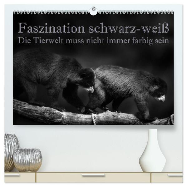 Faszination schwarz-weiß - Die Tierwelt muss nicht immer farbig sein (hochwertiger Premium Wandkalender 2024 DIN A2 quer) Kunstdruck in Hochglanz