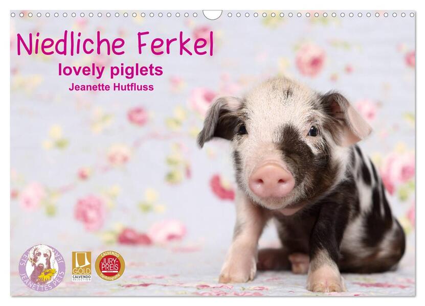 Niedliche Ferkel lovely piglets 2024 (Wandkalender 2024 DIN A3 quer) CALVENDO Monatskalender