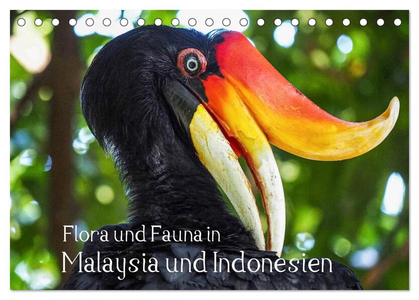 Flora und Fauna in Malaysia und Indonesien (Tischkalender 2024 DIN A5 quer) CALVENDO Monatskalender
