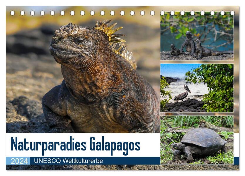Naturparadies Galapagos - UNESCO Weltkulturerbe (Tischkalender 2024 DIN A5 quer) CALVENDO Monatskalender