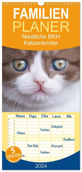 Familienplaner 2024 - Niedliche BKH Katzenkinder mit 5 Spalten (Wandkalender 21 x 45 cm) CALVENDO