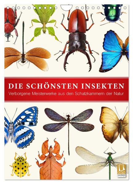 Die schönsten Insekten (Wandkalender 2024 DIN A4 hoch) CALVENDO Monatskalender - Wildlife Art Print