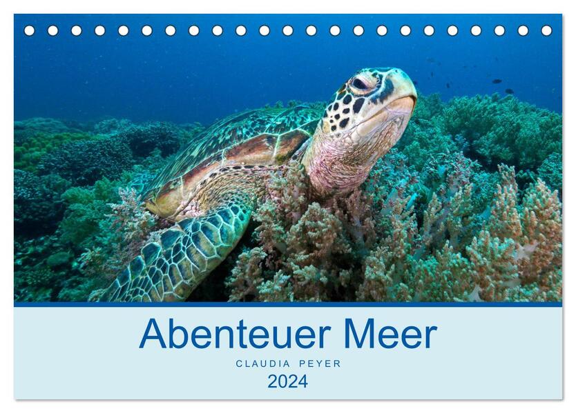 Abenteuer Unterwasser (Tischkalender 2024 DIN A5 quer) CALVENDO Monatskalender