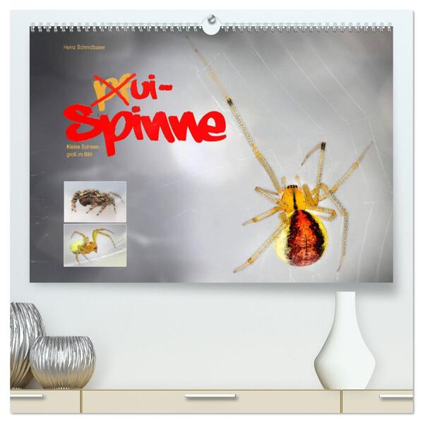 ui - Spinne. Kleine Spinnen - groß im Bild (hochwertiger Premium Wandkalender 2024 DIN A2 quer) Kunstdruck in Hochglanz
