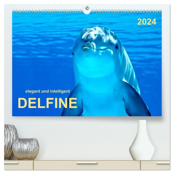 Delfine - elegant und intelligent (hochwertiger Premium Wandkalender 2024 DIN A2 quer) Kunstdruck in Hochglanz