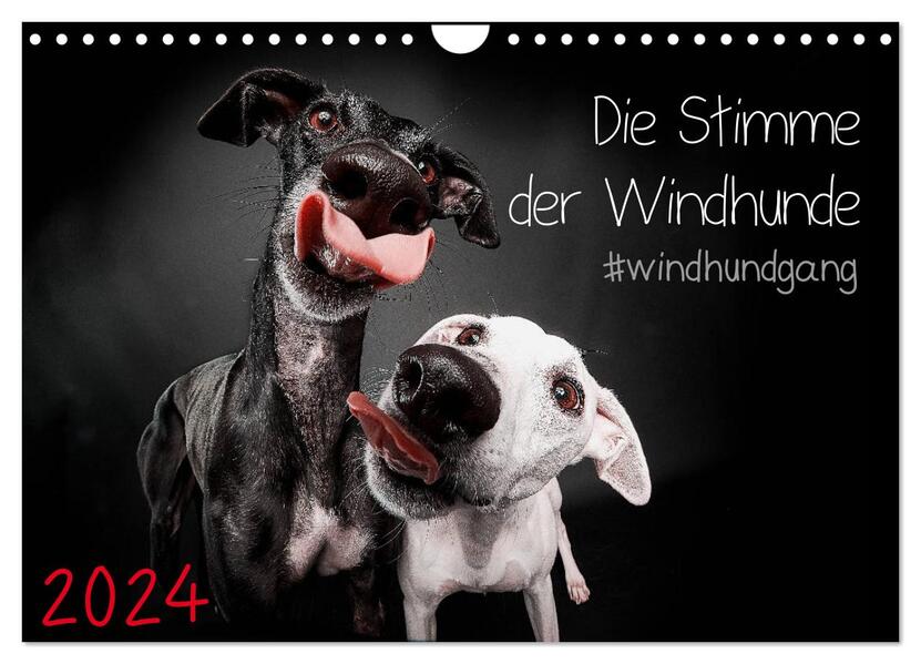 Die Stimme der Windhunde (Wandkalender 2024 DIN A4 quer) CALVENDO Monatskalender