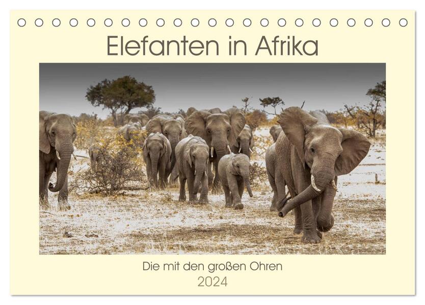 Elefanten in Afrika - Die mit den großen Ohren (Tischkalender 2024 DIN A5 quer) CALVENDO Monatskalender