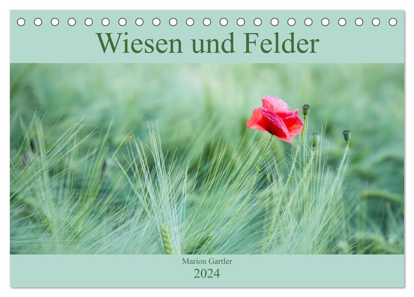 Wiesen und Felder (Tischkalender 2024 DIN A5 quer) CALVENDO Monatskalender