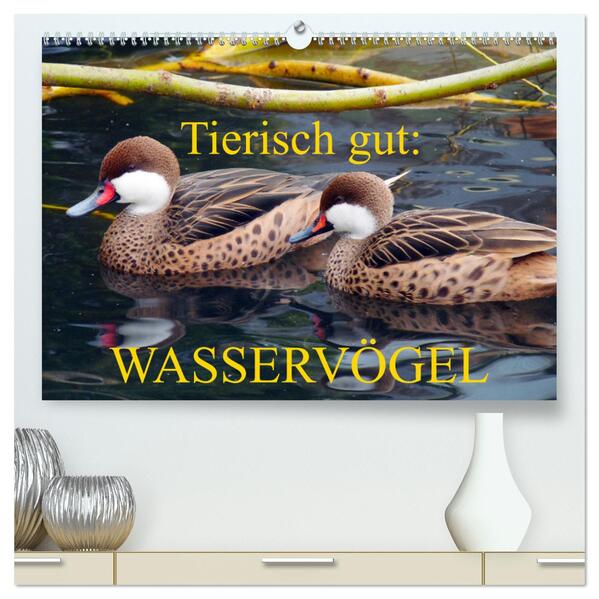 Tierisch gut: Wasservögel (hochwertiger Premium Wandkalender 2024 DIN A2 quer) Kunstdruck in Hochglanz