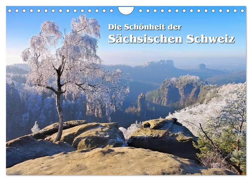 Die Schönheit der Sächsischen Schweiz (Wandkalender 2024 DIN A4 quer) CALVENDO Monatskalender