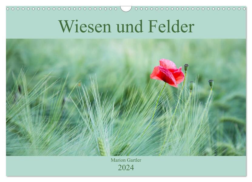 Wiesen und Felder (Wandkalender 2024 DIN A3 quer) CALVENDO Monatskalender