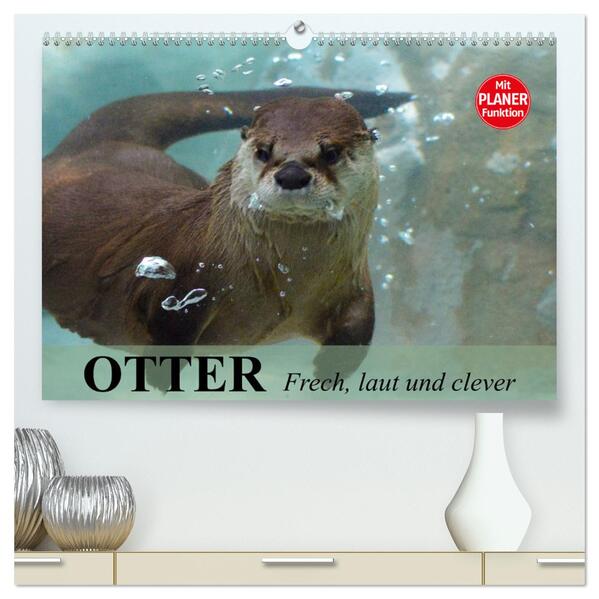 Otter. Frech laut und clever (hochwertiger Premium Wandkalender 2024 DIN A2 quer) Kunstdruck in Hochglanz