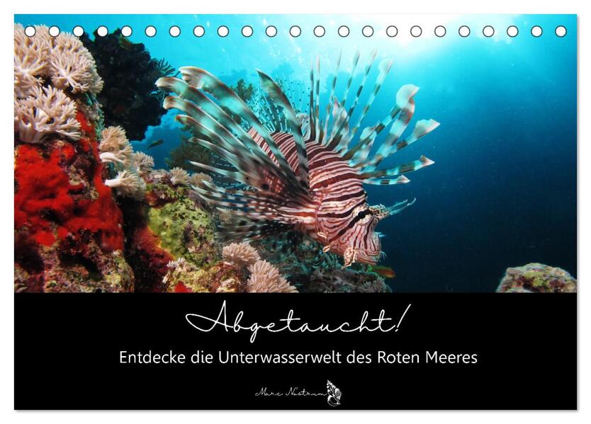 Abgetaucht! Entdecke die Unterwasserwelt des Roten Meeres (Tischkalender 2024 DIN A5 quer) CALVENDO Monatskalender