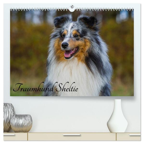 Traumhund Sheltie (hochwertiger Premium Wandkalender 2024 DIN A2 quer) Kunstdruck in Hochglanz