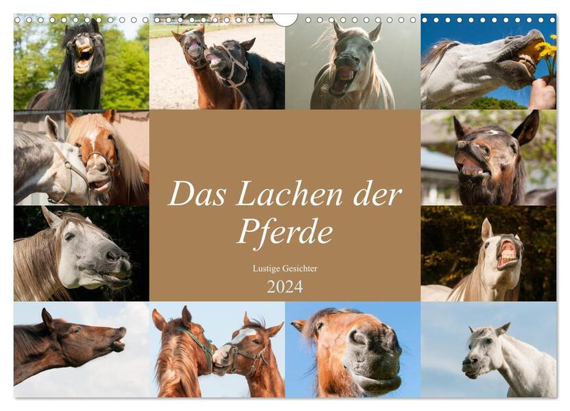 Das Lachen der Pferde - Lustige Gesichter (Wandkalender 2024 DIN A3 quer) CALVENDO Monatskalender