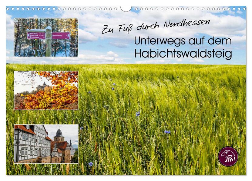Zu Fuß durch Nordhessen - Unterwegs auf dem Habichtswaldsteig (Wandkalender 2024 DIN A3 quer) CALVENDO Monatskalender
