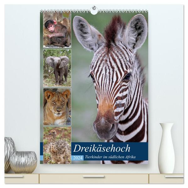 Dreikäsehoch - Tierkinder im südlichen Afrika (hochwertiger Premium Wandkalender 2024 DIN A2 hoch) Kunstdruck in Hochglanz
