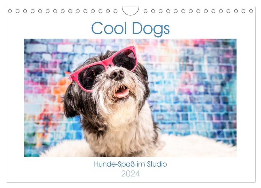 Cool Dogs - Hunde-Spaß im Studio (Wandkalender 2024 DIN A4 quer) CALVENDO Monatskalender