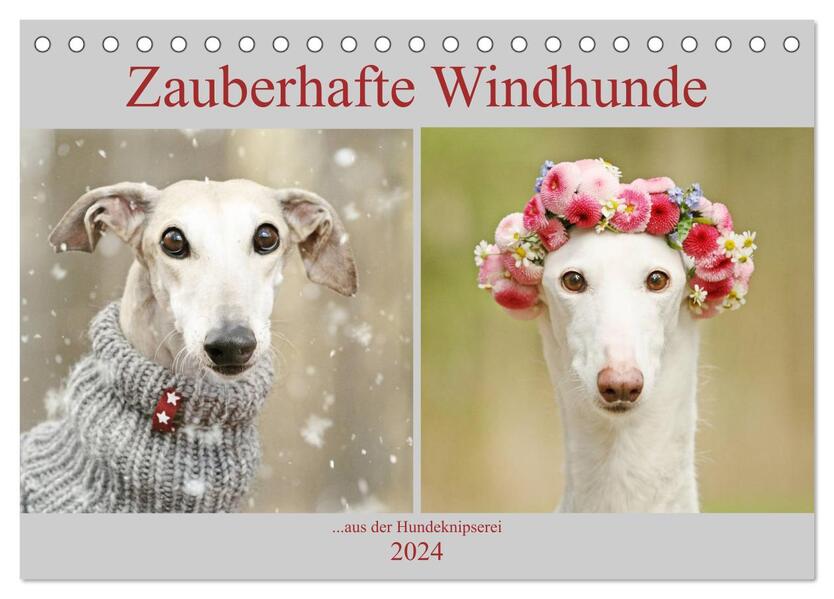Zauberhafte Windhunde (Tischkalender 2024 DIN A5 quer) CALVENDO Monatskalender
