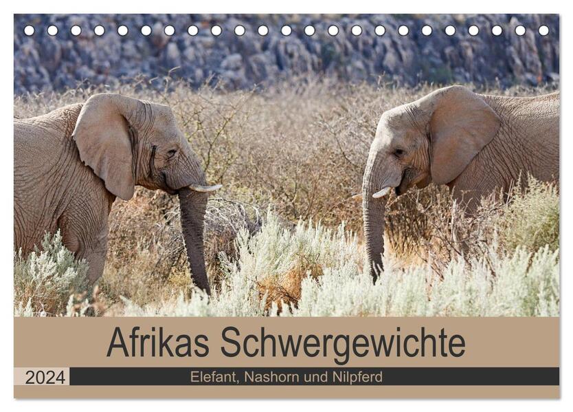Afrikas Schwergewichte Elefant Nashorn und Nilpferd (Tischkalender 2024 DIN A5 quer) CALVENDO Monatskalender