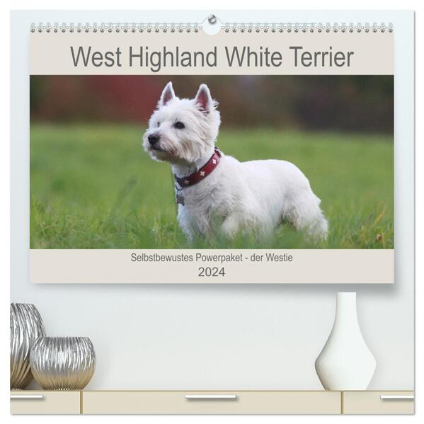 West Highland White Terrier - Selbstbewustes Powerpaket - der Westie (hochwertiger Premium Wandkalender 2024 DIN A2 quer) Kunstdruck in Hochglanz