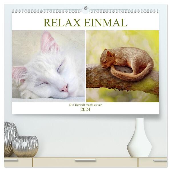 Relax einmal - Die Tierwelt macht es vor (hochwertiger Premium Wandkalender 2024 DIN A2 quer) Kunstdruck in Hochglanz