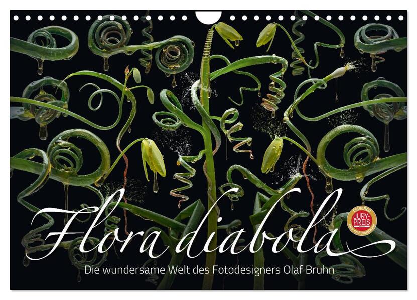 Flora diabola - Die wundersame Welt des Fotoers Olaf Bruhn (Wandkalender 2024 DIN A4 quer) CALVENDO Monatskalender