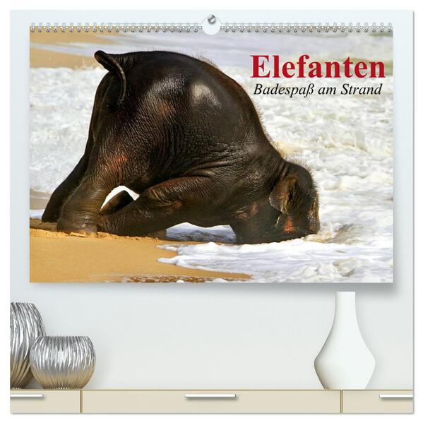 Elefanten. Badespaß am Strand (hochwertiger Premium Wandkalender 2024 DIN A2 quer) Kunstdruck in Hochglanz