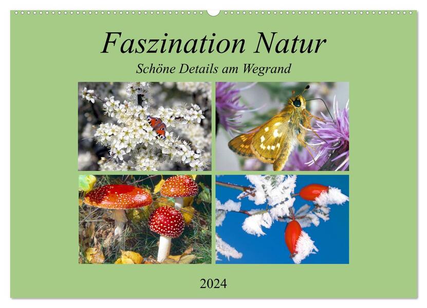 Faszination Natur - Schöne Details am Wegrand (Wandkalender 2024 DIN A2 quer) CALVENDO Monatskalender