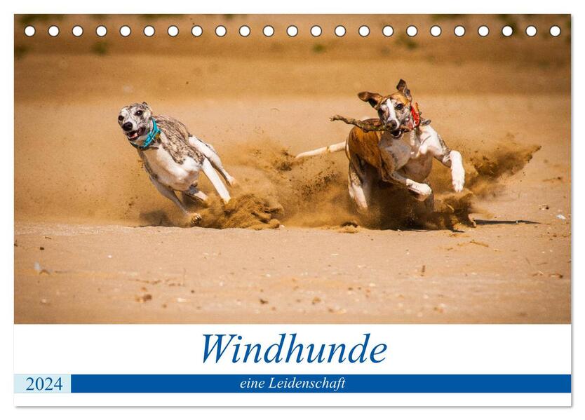 Windhunde - eine Leidenschaft (Tischkalender 2024 DIN A5 quer) CALVENDO Monatskalender