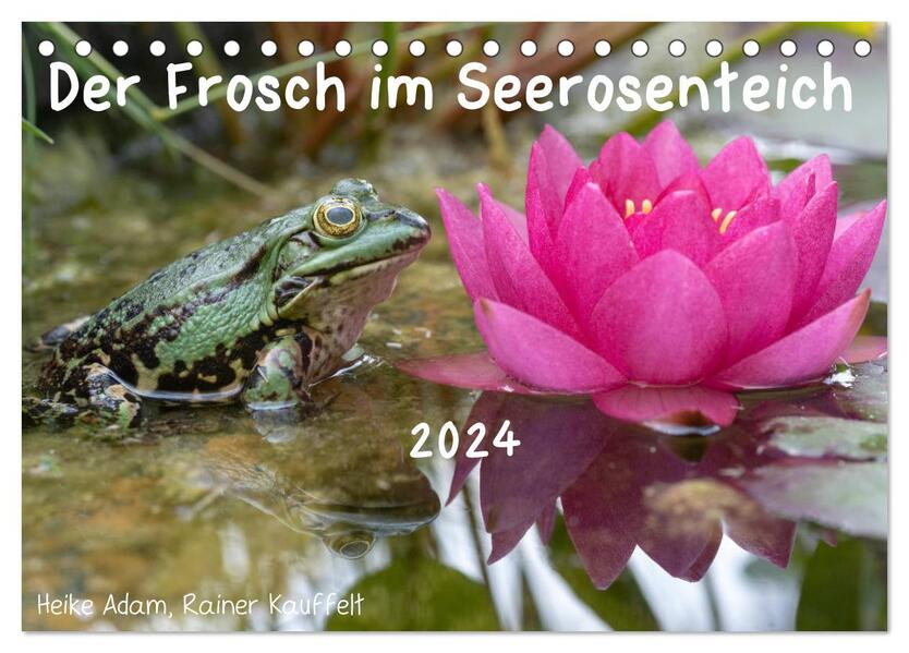 Der Frosch im Seerosenteich (Tischkalender 2024 DIN A5 quer) CALVENDO Monatskalender