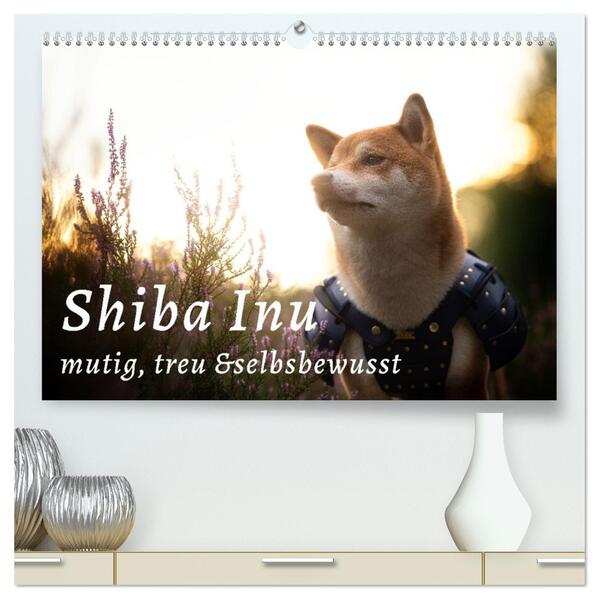 Shiba Inu - mutig treu selbstbewusst (hochwertiger Premium Wandkalender 2024 DIN A2 quer) Kunstdruck in Hochglanz