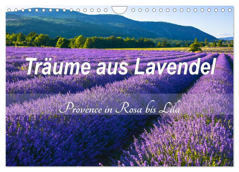 Träume aus Lavendel Provence in Rosa bis Lila (Wandkalender 2024 DIN A4 quer) CALVENDO Monatskalender - Jürgen Feuerer