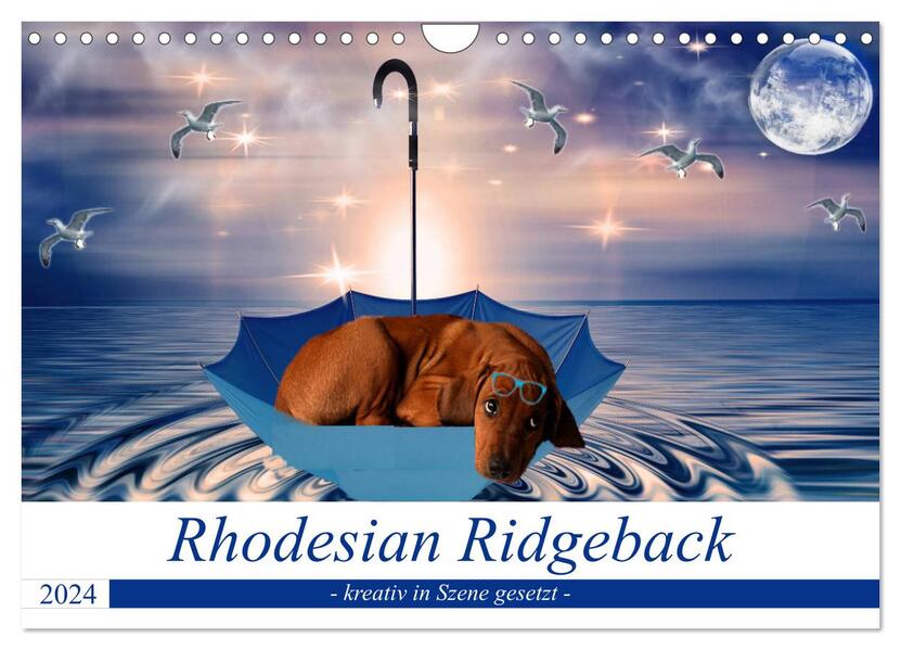 Rhodesian Ridgeback - kreativ in Szene gesetzt - (Wandkalender 2024 DIN A4 quer) CALVENDO Monatskalender