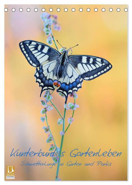 Kunterbuntes Gartenleben - Schmetterlinge in Gärten und Parks (Tischkalender 2024 DIN A5 hoch) CALVENDO Monatskalender