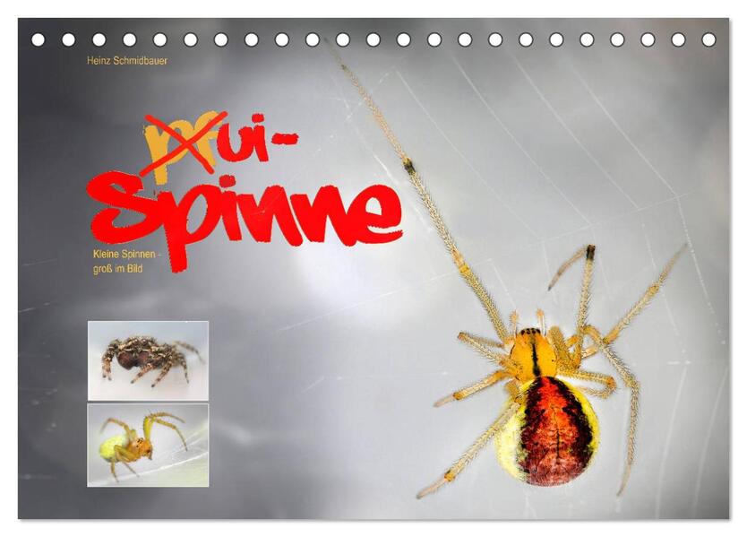 ui - Spinne. Kleine Spinnen - groß im Bild (Tischkalender 2024 DIN A5 quer) CALVENDO Monatskalender