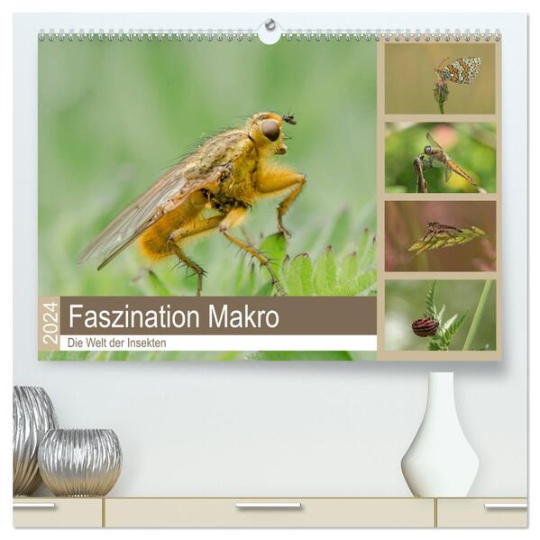 Faszination Makro - Die Welt der Insekten (hochwertiger Premium Wandkalender 2024 DIN A2 quer) Kunstdruck in Hochglanz