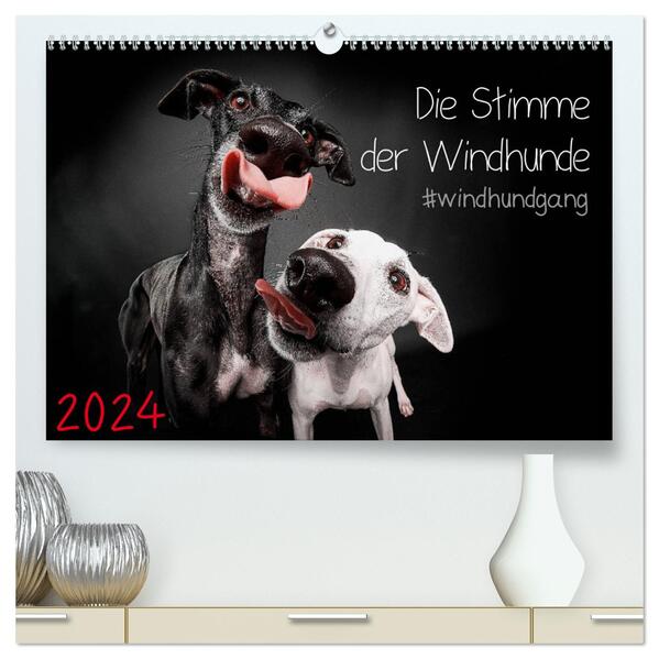 Die Stimme der Windhunde (hochwertiger Premium Wandkalender 2024 DIN A2 quer) Kunstdruck in Hochglanz
