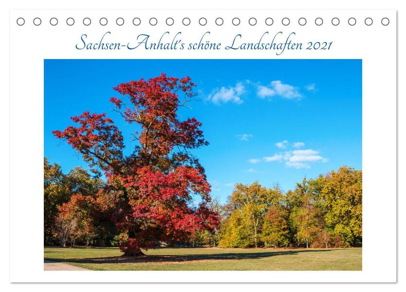 Sachsen-Anhalt‘s schöne Landschaften (Tischkalender 2024 DIN A5 quer) CALVENDO Monatskalender