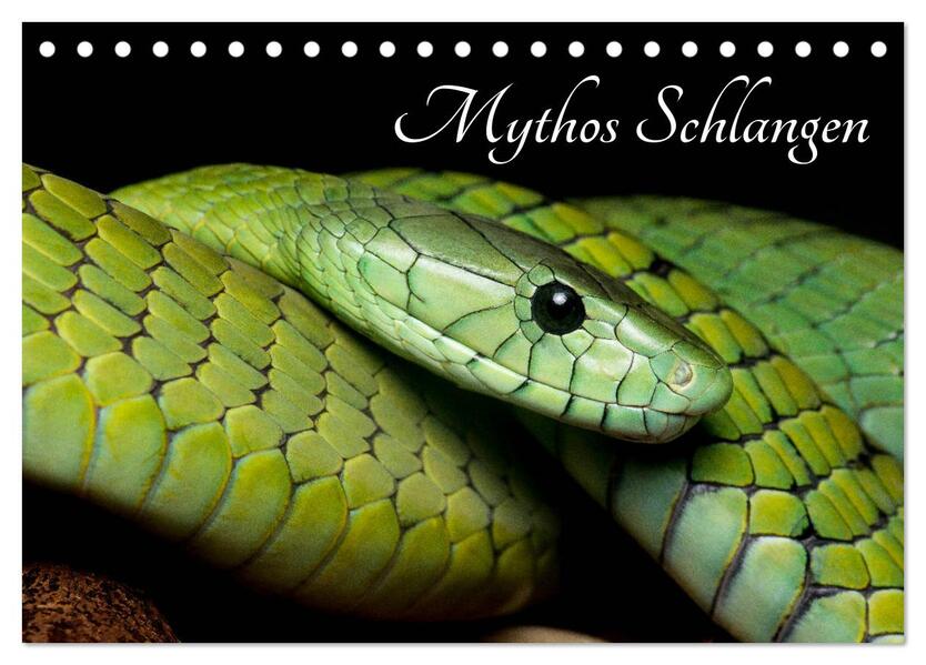 Mythos Schlangen (Tischkalender 2024 DIN A5 quer) CALVENDO Monatskalender