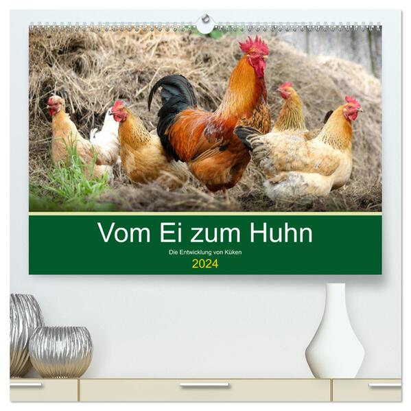 Vom Ei zum Huhn. Die Entwicklung von Küken (hochwertiger Premium Wandkalender 2024 DIN A2 quer) Kunstdruck in Hochglanz
