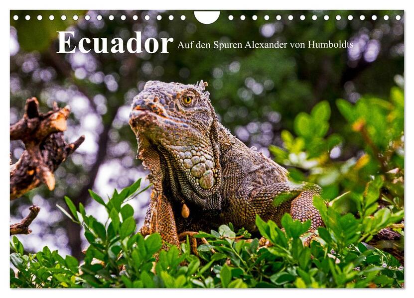 Ecuador - Auf den Spuren Alexander von Humboldts (Wandkalender 2024 DIN A4 quer) CALVENDO Monatskalender