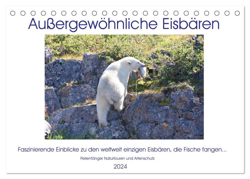 Das Leben der etwas anderen Eisbären! (Tischkalender 2024 DIN A5 quer) CALVENDO Monatskalender