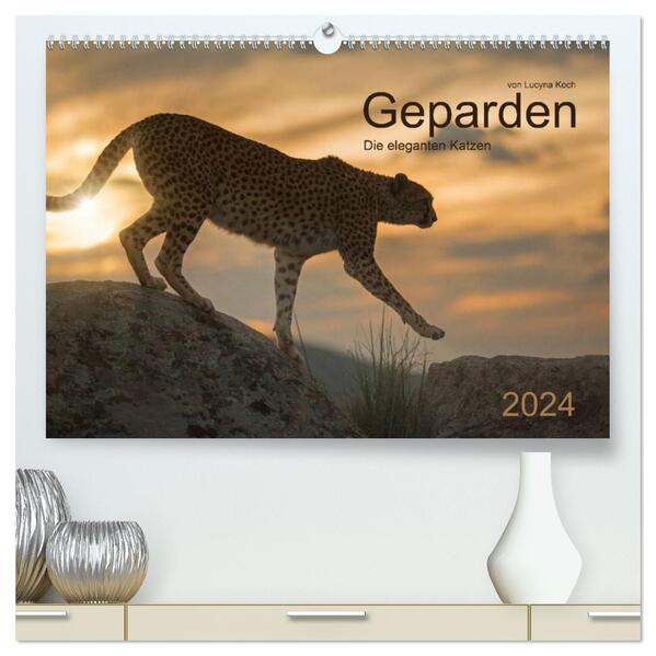 Geparden. Die eleganten Katzen. (hochwertiger Premium Wandkalender 2024 DIN A2 quer) Kunstdruck in Hochglanz