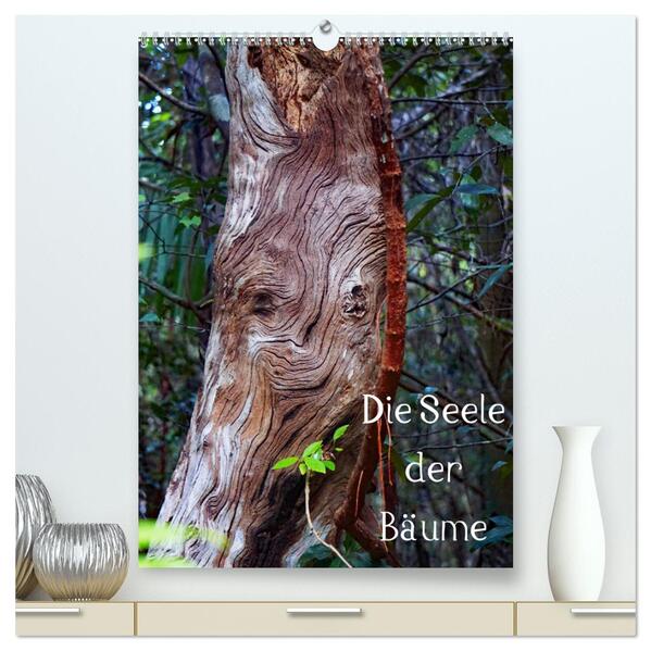 Die Seele der Bäume (hochwertiger Premium Wandkalender 2024 DIN A2 hoch) Kunstdruck in Hochglanz - Andreas Struve