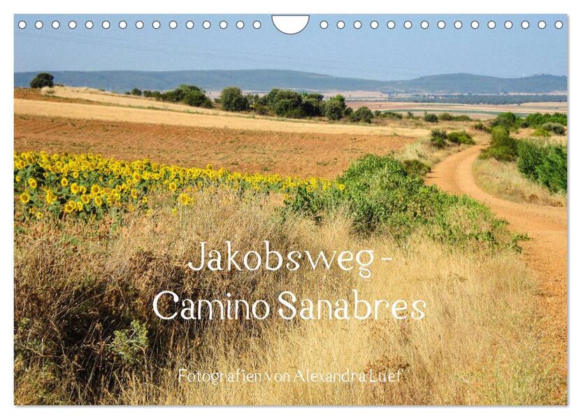 Jakobsweg - Camino Sanabres (Wandkalender 2024 DIN A4 quer) CALVENDO Monatskalender